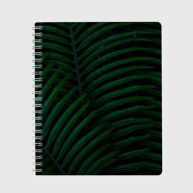 Тетрадь с принтом Пальмовые листья , 100% бумага | 48 листов, плотность листов — 60 г/м2, плотность картонной обложки — 250 г/м2. Листы скреплены сбоку удобной пружинной спиралью. Уголки страниц и обложки скругленные. Цвет линий — светло-серый
 | пальмы | папоротник | тропики