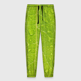 Мужские брюки 3D с принтом Листок с росой , 100% полиэстер | манжеты по низу, эластичный пояс регулируется шнурком, по бокам два кармана без застежек, внутренняя часть кармана из мелкой сетки | Тематика изображения на принте: зеленый | капли | перерода | текстура