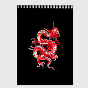 Скетчбук с принтом Дракон , 100% бумага
 | 48 листов, плотность листов — 100 г/м2, плотность картонной обложки — 250 г/м2. Листы скреплены сверху удобной пружинной спиралью | арт | дракон | дракоша | животные | картинка | китайский дракон | красный дракон | рисунок | японский дракон | ящер