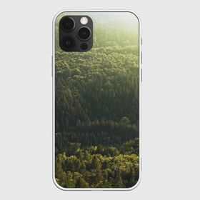 Чехол для iPhone 12 Pro Max с принтом Летний лес , Силикон |  | дерево | деревья | зеленый | лес | лето | небо | облако | солнце | темный | ярко