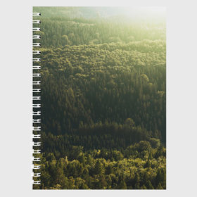 Тетрадь с принтом Летний лес , 100% бумага | 48 листов, плотность листов — 60 г/м2, плотность картонной обложки — 250 г/м2. Листы скреплены сбоку удобной пружинной спиралью. Уголки страниц и обложки скругленные. Цвет линий — светло-серый
 | дерево | деревья | зеленый | лес | лето | небо | облако | солнце | темный | ярко