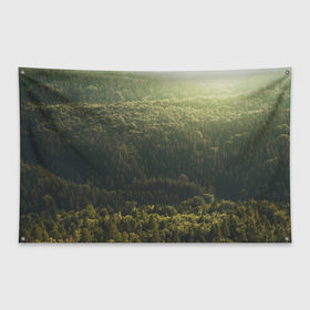 Флаг-баннер с принтом Летний лес , 100% полиэстер | размер 67 х 109 см, плотность ткани — 95 г/м2; по краям флага есть четыре люверса для крепления | дерево | деревья | зеленый | лес | лето | небо | облако | солнце | темный | ярко