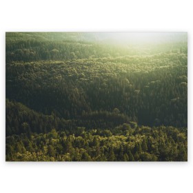 Поздравительная открытка с принтом Летний лес , 100% бумага | плотность бумаги 280 г/м2, матовая, на обратной стороне линовка и место для марки
 | Тематика изображения на принте: дерево | деревья | зеленый | лес | лето | небо | облако | солнце | темный | ярко
