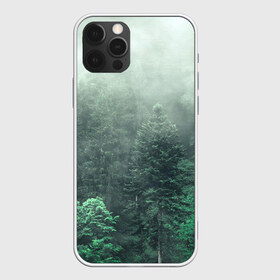 Чехол для iPhone 12 Pro Max с принтом Туманный лес , Силикон |  | дерево | деревья | зеленый | лес | облака | облако | снег | темный