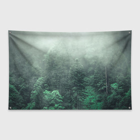 Флаг-баннер с принтом Туманный лес , 100% полиэстер | размер 67 х 109 см, плотность ткани — 95 г/м2; по краям флага есть четыре люверса для крепления | дерево | деревья | зеленый | лес | облака | облако | снег | темный