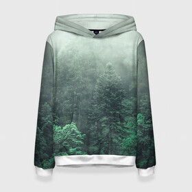 Женская толстовка 3D с принтом Туманный лес , 100% полиэстер  | двухслойный капюшон со шнурком для регулировки, мягкие манжеты на рукавах и по низу толстовки, спереди карман-кенгуру с мягким внутренним слоем. | дерево | деревья | зеленый | лес | облака | облако | снег | темный