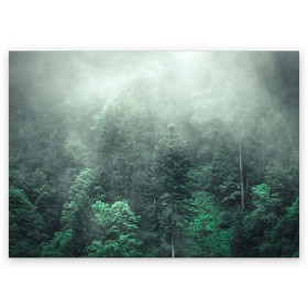 Поздравительная открытка с принтом Туманный лес , 100% бумага | плотность бумаги 280 г/м2, матовая, на обратной стороне линовка и место для марки
 | дерево | деревья | зеленый | лес | облака | облако | снег | темный