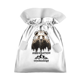 Подарочный 3D мешок с принтом hibernation , 100% полиэстер | Размер: 29*39 см | Тематика изображения на принте: cryobiology | hibernation | бездействие | горы | зимняя спячка | криобиология | лес | медведь | сон | спячка