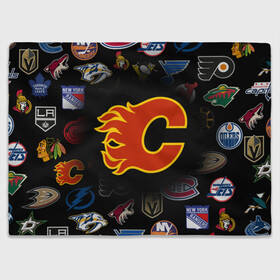 Плед 3D с принтом Calgary Flames (Z) , 100% полиэстер | закругленные углы, все края обработаны. Ткань не мнется и не растягивается | Тематика изображения на принте: anaheim ducks | arizona coyotes | boston bruins | buffalo sabres | calgary flames | canadiens de montreal | carolina hurricanes | chicago blackhawks | colorado avalanche | columbus blue jackets | dallas stars | detroit red wings | edmonton oil | hockey | 