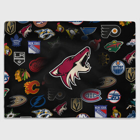 Плед 3D с принтом Arizona Coyotes | NHL (Z) , 100% полиэстер | закругленные углы, все края обработаны. Ткань не мнется и не растягивается | anaheim ducks | arizona coyotes | boston bruins | buffalo sabres | calgary flames | canadiens de montreal | carolina hurricanes | chicago blackhawks | colorado avalanche | columbus blue jackets | dallas stars | detroit red wings | edmonton oil | hockey | 