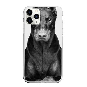 Чехол для iPhone 11 Pro матовый с принтом Любовь - это доберман , Силикон |  | доберман | дрессировка | забота | любовь | собака | собаки | собачка | собачник | увлечение | хобби