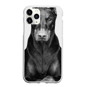 Чехол для iPhone 11 Pro Max матовый с принтом Любовь - это доберман , Силикон |  | доберман | дрессировка | забота | любовь | собака | собаки | собачка | собачник | увлечение | хобби