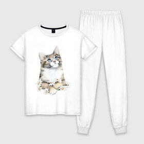 Женская пижама хлопок с принтом Котенок с ромашками , 100% хлопок | брюки и футболка прямого кроя, без карманов, на брюках мягкая резинка на поясе и по низу штанин | арт | животные | звери | картинка | кот | котенок | коты | кошка | рисунок