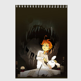 Скетчбук с принтом The Promised Neverland , 100% бумага
 | 48 листов, плотность листов — 100 г/м2, плотность картонной обложки — 250 г/м2. Листы скреплены сверху удобной пружинной спиралью | anime | emma | mango | the promised neverland | yakusoku no neverland | аниме | манга | обещанная страна грёз | обещанный неверленд