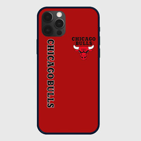 Чехол для iPhone 12 Pro Max с принтом CHICAGO BULLS , Силикон |  | bulls | chicago | chicago bulls | nba | red bulls | usa | америка | быки | нба | сша | чикаго буллс