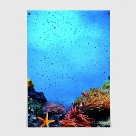 Постер с принтом Подводный мир , 100% бумага
 | бумага, плотность 150 мг. Матовая, но за счет высокого коэффициента гладкости имеет небольшой блеск и дает на свету блики, но в отличии от глянцевой бумаги не покрыта лаком | Тематика изображения на принте: аква | аквариум | актинии | вода | море | морские | морские звезды | морской | океан | под водой | подводный мир | пузырьки | рыба | рыба клоун | рыбы