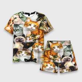 Мужской костюм с шортами 3D с принтом КОТЫ ,  |  | cat | взгляд | кот | кот хипстер | котёнок | котятки | котятушки | кошечки | кошка | мордочка