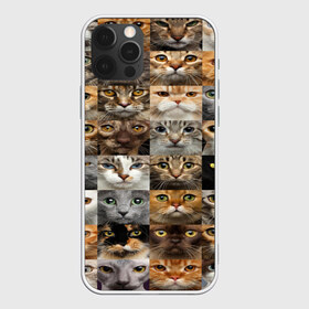 Чехол для iPhone 12 Pro Max с принтом КОТОПАТТЕРН , Силикон |  | Тематика изображения на принте: cat | взгляд | кот | кот хипстер | котёнок | котятки | котятушки | кошечки | кошка | мордочка
