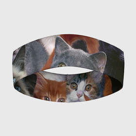 Повязка на голову 3D с принтом КОТЯТКИ ,  |  | cat | взгляд | кот | кот хипстер | котёнок | котятки | котятушки | кошечки | кошка | мордочка