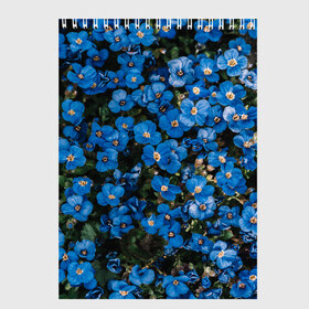Скетчбук с принтом Поле синих цветов фиалки лето , 100% бумага
 | 48 листов, плотность листов — 100 г/м2, плотность картонной обложки — 250 г/м2. Листы скреплены сверху удобной пружинной спиралью | Тематика изображения на принте: голубые цветочки | лето | луг | незабудки | поле | поляна | синие цветы | узор из цветов | фиалки | фото реализм | цветы