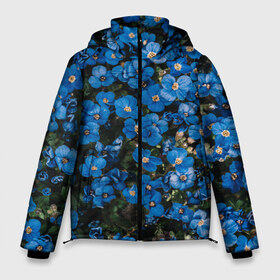 Мужская зимняя куртка 3D с принтом Поле синих цветов фиалки лето , верх — 100% полиэстер; подкладка — 100% полиэстер; утеплитель — 100% полиэстер | длина ниже бедра, свободный силуэт Оверсайз. Есть воротник-стойка, отстегивающийся капюшон и ветрозащитная планка. 

Боковые карманы с листочкой на кнопках и внутренний карман на молнии. | Тематика изображения на принте: голубые цветочки | лето | луг | незабудки | поле | поляна | синие цветы | узор из цветов | фиалки | фото реализм | цветы