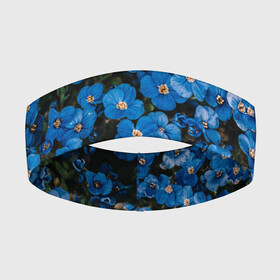 Повязка на голову 3D с принтом Поле синих цветов фиалки лето ,  |  | Тематика изображения на принте: голубые цветочки | лето | луг | незабудки | поле | поляна | синие цветы | узор из цветов | фиалки | фото реализм | цветы