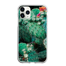 Чехол для iPhone 11 Pro Max матовый с принтом кактусы с цветами реализм , Силикон |  | бутоны | иголки | кактус | кактусы | комнатные растения | лето | реализм | суккуленты | тропики | узор | цветки | цветы | экзотика