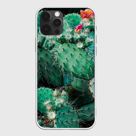 Чехол для iPhone 12 Pro Max с принтом кактусы с цветами реализм , Силикон |  | бутоны | иголки | кактус | кактусы | комнатные растения | лето | реализм | суккуленты | тропики | узор | цветки | цветы | экзотика