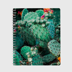 Тетрадь с принтом кактусы с цветами реализм , 100% бумага | 48 листов, плотность листов — 60 г/м2, плотность картонной обложки — 250 г/м2. Листы скреплены сбоку удобной пружинной спиралью. Уголки страниц и обложки скругленные. Цвет линий — светло-серый
 | бутоны | иголки | кактус | кактусы | комнатные растения | лето | реализм | суккуленты | тропики | узор | цветки | цветы | экзотика