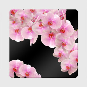 Магнит виниловый Квадрат с принтом Орхидеи в ночи , полимерный материал с магнитным слоем | размер 9*9 см, закругленные углы | азия | бабочки | бутоны | ветки | девушкам | джунгли | женщинам | лепестки | летний | лето | листья | любовь | март | орхидеи | орхидея | подарок | природа | растения | розовыецветы | сад | тропика
