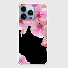Чехол для iPhone 13 Pro с принтом Орхидеи в ночи ,  |  | Тематика изображения на принте: азия | бабочки | бутоны | ветки | девушкам | джунгли | женщинам | лепестки | летний | лето | листья | любовь | март | орхидеи | орхидея | подарок | природа | растения | розовыецветы | сад | тропика