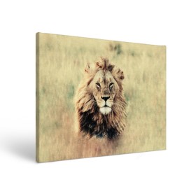 Холст прямоугольный с принтом Lion King , 100% ПВХ |  | animals | king | lion | африка | взгляд | голова | грива | дикие | животные | зверек | зверь | зодиак | клыки | король | кот | кошак | кошка | лапы | лев | лео | львенок | оскал | природа | саванна | симба | созвездие