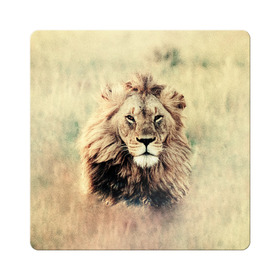 Магнит виниловый Квадрат с принтом Lion King , полимерный материал с магнитным слоем | размер 9*9 см, закругленные углы | animals | king | lion | африка | взгляд | голова | грива | дикие | животные | зверек | зверь | зодиак | клыки | король | кот | кошак | кошка | лапы | лев | лео | львенок | оскал | природа | саванна | симба | созвездие