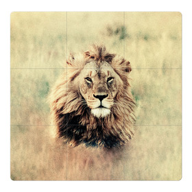Магнитный плакат 3Х3 с принтом Lion King , Полимерный материал с магнитным слоем | 9 деталей размером 9*9 см | animals | king | lion | африка | взгляд | голова | грива | дикие | животные | зверек | зверь | зодиак | клыки | король | кот | кошак | кошка | лапы | лев | лео | львенок | оскал | природа | саванна | симба | созвездие