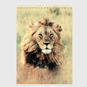 Скетчбук с принтом Lion King , 100% бумага
 | 48 листов, плотность листов — 100 г/м2, плотность картонной обложки — 250 г/м2. Листы скреплены сверху удобной пружинной спиралью | animals | king | lion | африка | взгляд | голова | грива | дикие | животные | зверек | зверь | зодиак | клыки | король | кот | кошак | кошка | лапы | лев | лео | львенок | оскал | природа | саванна | симба | созвездие