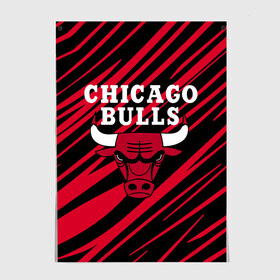 Постер с принтом Chicago Bulls. , 100% бумага
 | бумага, плотность 150 мг. Матовая, но за счет высокого коэффициента гладкости имеет небольшой блеск и дает на свету блики, но в отличии от глянцевой бумаги не покрыта лаком | 23 | air jordan | bulls | chicago bulls | jordan | michael jordan | nba | paris saint germain | psg | red | sport | быки | джордан | майкл джордан | псж | спорт | чикаго буллс