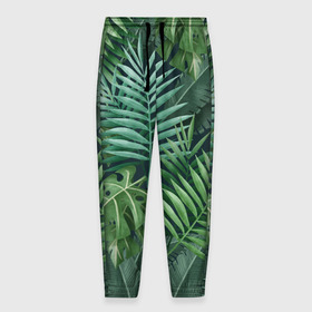 Мужские брюки 3D с принтом Тропики , 100% полиэстер | манжеты по низу, эластичный пояс регулируется шнурком, по бокам два кармана без застежек, внутренняя часть кармана из мелкой сетки | summer | банановая | банановые | джунгли | зелень | краски | летняя | лето | листики | листы | листья | надпись | настроение | отдых | отпуск | пальма | пальмовые | пальмы | папоротник | пляжная | позитив