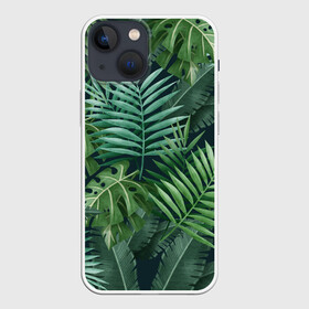 Чехол для iPhone 13 mini с принтом Тропики ,  |  | summer | банановая | банановые | джунгли | зелень | краски | летняя | лето | листики | листы | листья | надпись | настроение | отдых | отпуск | пальма | пальмовые | пальмы | папоротник | пляжная | позитив