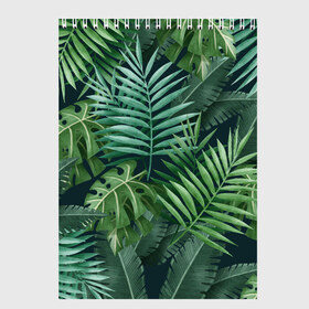 Скетчбук с принтом Тропики , 100% бумага
 | 48 листов, плотность листов — 100 г/м2, плотность картонной обложки — 250 г/м2. Листы скреплены сверху удобной пружинной спиралью | summer | банановая | банановые | джунгли | зелень | краски | летняя | лето | листики | листы | листья | надпись | настроение | отдых | отпуск | пальма | пальмовые | пальмы | папоротник | пляжная | позитив