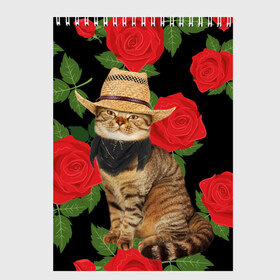 Скетчбук с принтом Мачо Котик Ковбой , 100% бумага
 | 48 листов, плотность листов — 100 г/м2, плотность картонной обложки — 250 г/м2. Листы скреплены сверху удобной пружинной спиралью | cat | cats | kitten | mem | memes | rose | roses | глаза | глазки | киска | кот | котёнок | котик | котики | котэ | котята | кошак | кошка | кошки | красивая | мем | мемчики | милая | прикольная | роза | розы | светлая | темная