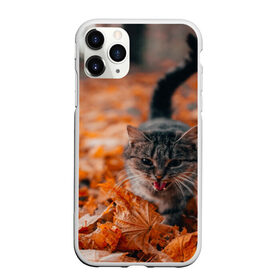 Чехол для iPhone 11 Pro Max матовый с принтом мяукающий кот осенние листья , Силикон |  | золотая осень | кот | кошка | крик | листва | листья | мяу | мяукает | осень | сезон | уличный котейка