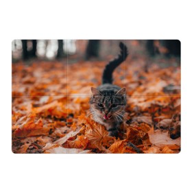 Магнитный плакат 3Х2 с принтом мяукающий кот осенние листья , Полимерный материал с магнитным слоем | 6 деталей размером 9*9 см | золотая осень | кот | кошка | крик | листва | листья | мяу | мяукает | осень | сезон | уличный котейка
