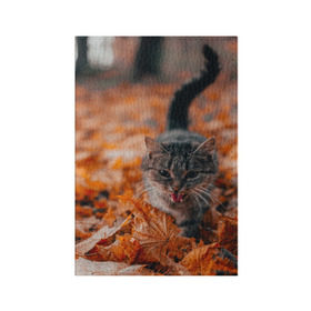 Обложка для паспорта матовая кожа с принтом мяукающий кот осенние листья , натуральная матовая кожа | размер 19,3 х 13,7 см; прозрачные пластиковые крепления | Тематика изображения на принте: золотая осень | кот | кошка | крик | листва | листья | мяу | мяукает | осень | сезон | уличный котейка