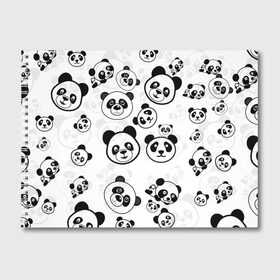 Альбом для рисования с принтом Панды , 100% бумага
 | матовая бумага, плотность 200 мг. | арт | животное | животные | зверь | картинка | коала | медведь | мишка | настроение | пальма | панда | панды | рисунок | текстура