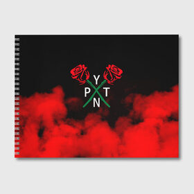 Альбом для рисования с принтом PYTN X ROSE , 100% бумага
 | матовая бумага, плотность 200 мг. | Тематика изображения на принте: payton | payton moormeie | pytn | rose | блогер | знаменитость | пейтон | пейтон моормиер | тиктоенр