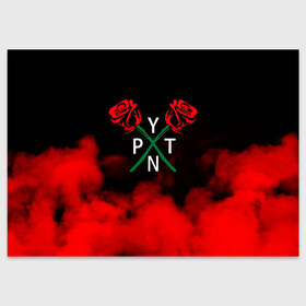 Поздравительная открытка с принтом PYTN X ROSE. , 100% бумага | плотность бумаги 280 г/м2, матовая, на обратной стороне линовка и место для марки
 | payton | payton moormeie | pytn | rose | блогер | знаменитость | пейтон | пейтон моормиер | тиктоенр