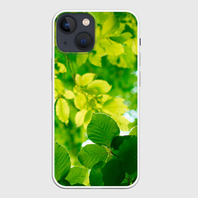 Чехол для iPhone 13 mini с принтом Листья. ,  |  | abstract | brand | geometry | sport | texture | абстракция | бренд | геометрия | классика | летние | минимализм | модные | популярные иллюстрации | прикольные картинки | спорт | стиль | стильные | текстура