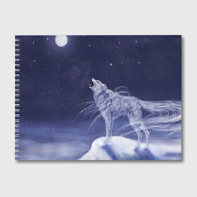 Альбом для рисования с принтом WOLF WHITE(D) , 100% бумага
 | матовая бумага, плотность 200 мг. | wolf | волк | волки | волчица | животные | одинокий волк