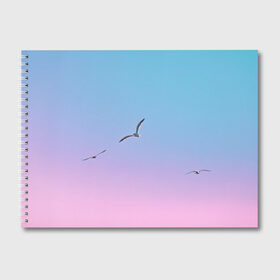 Альбом для рисования с принтом чайки птицы полет градиент , 100% бумага
 | матовая бумага, плотность 200 мг. | Тематика изображения на принте: градиент | закат | минимализм | небо | полет | природа | просто | птицы | рассвет | чайки