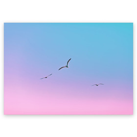Поздравительная открытка с принтом чайки птицы полет градиент , 100% бумага | плотность бумаги 280 г/м2, матовая, на обратной стороне линовка и место для марки
 | Тематика изображения на принте: градиент | закат | минимализм | небо | полет | природа | просто | птицы | рассвет | чайки